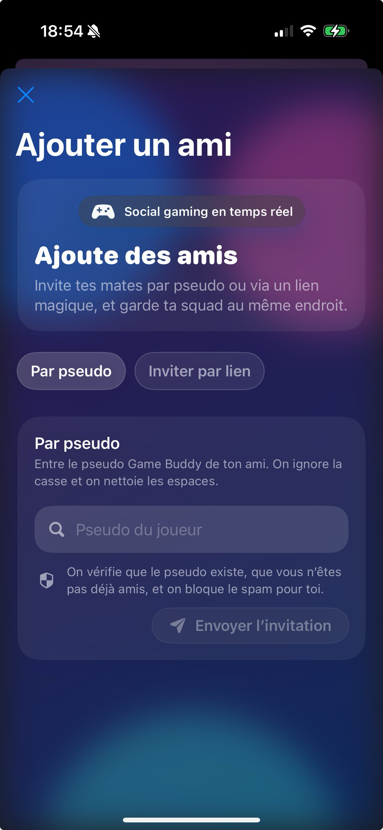 Buddy Zone – amis en ligne